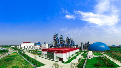 “金”致匠心 “峰”聚成山丨金峰水泥集團登榜2020年中國民企500強