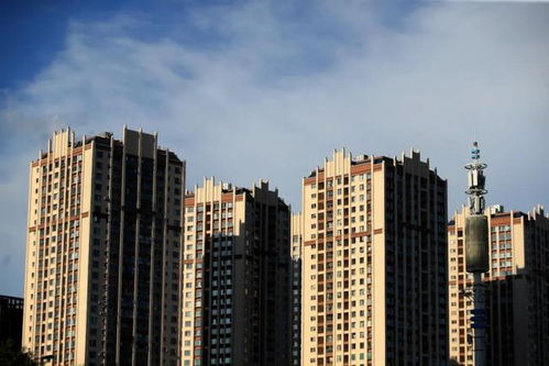 王石再預測中國未來房地產(chǎn)走向 若無意外,或較大概率又是對的