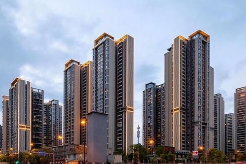 新房改方案推動房地產市場結構性調整：探索窮人區與房地產市場頂層設計